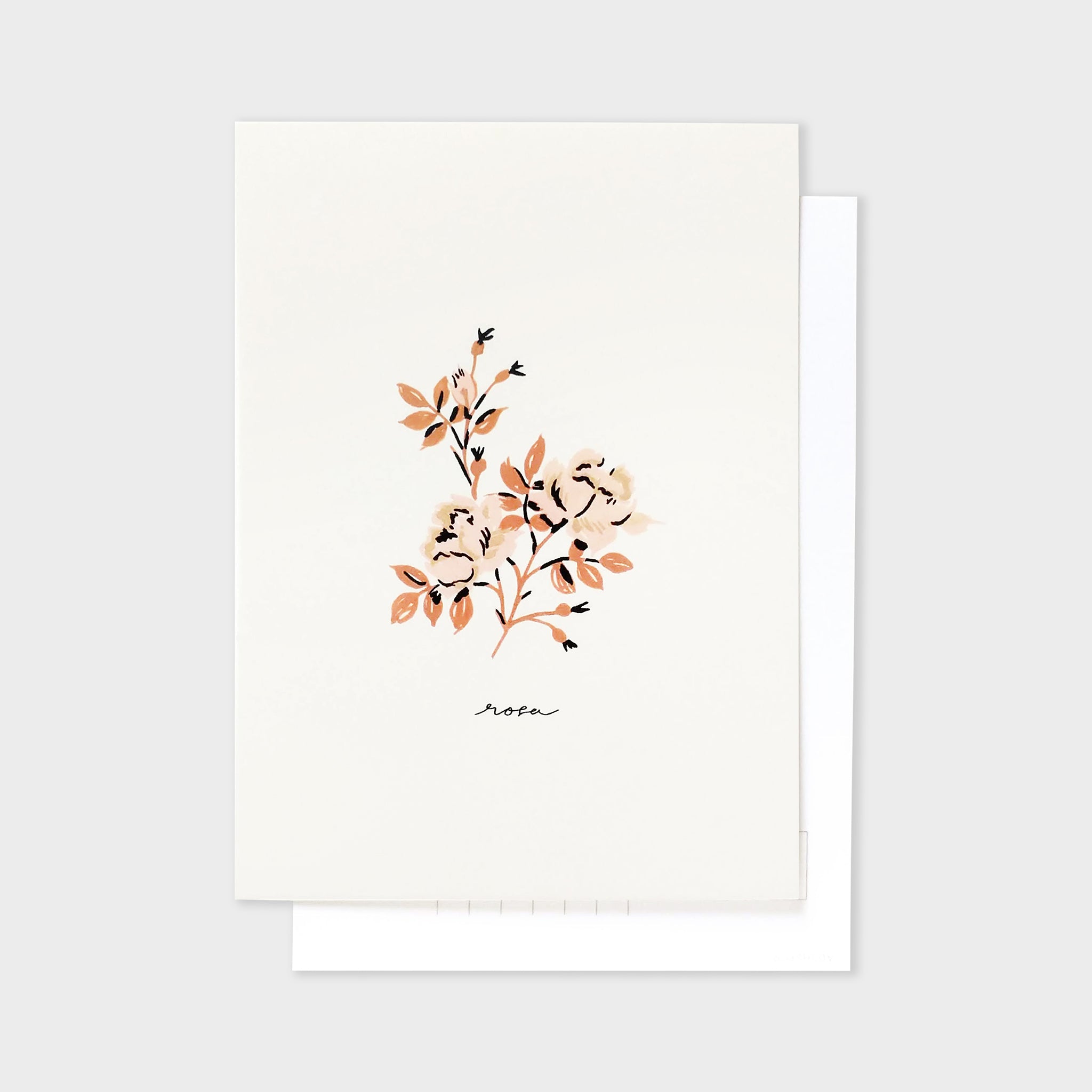 Rose Botanical Postcard