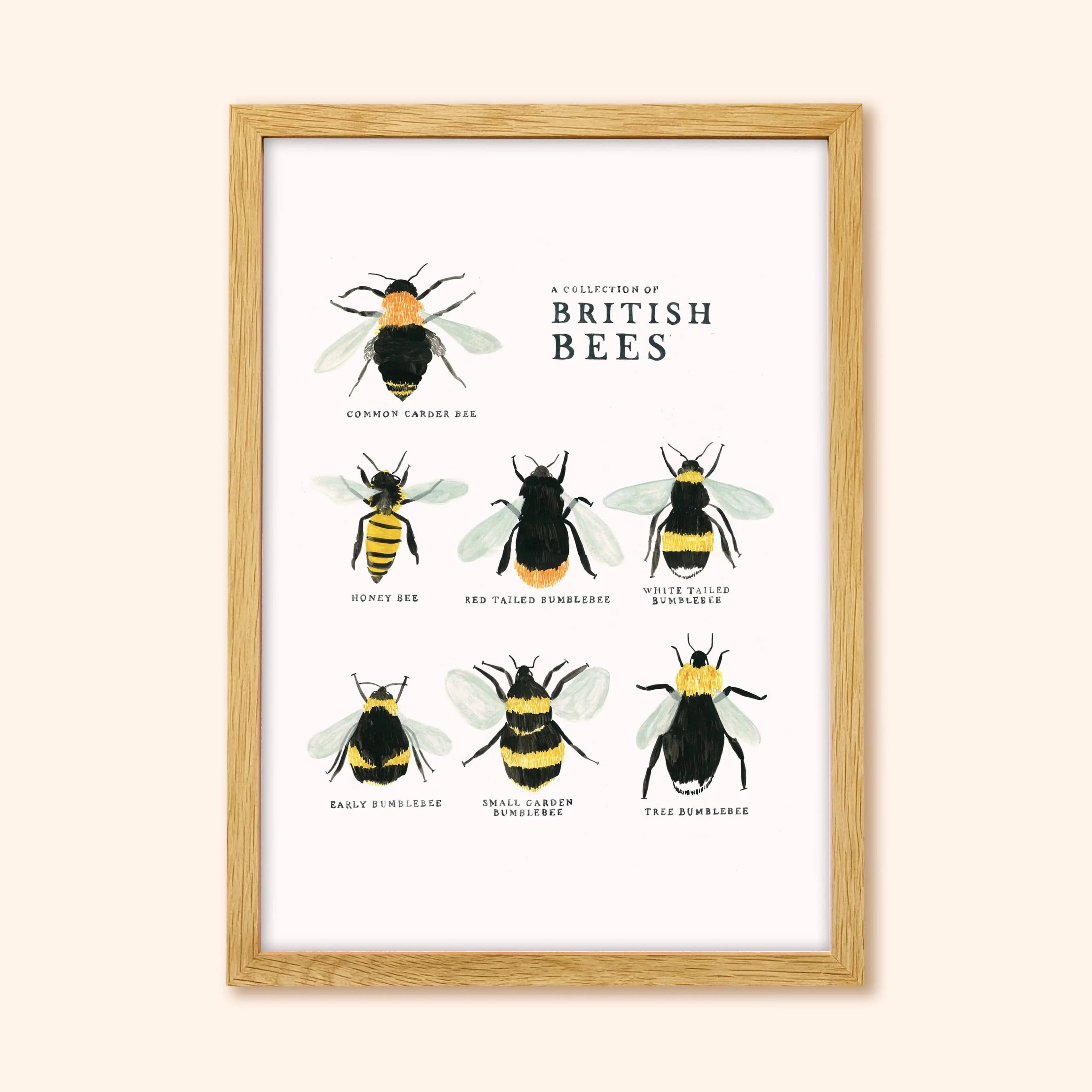 Bee Art Print - A Collection of British Bees