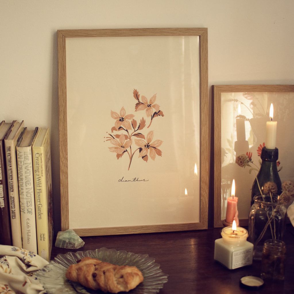 Vintage Flower Art Print - Dianthus