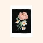 Flower Wall Art Print - Peony, Black (A3 / A4)