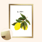 “Le Citron” French Lemon Art Print