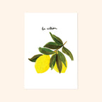 “Le Citron” French Lemon Art Print