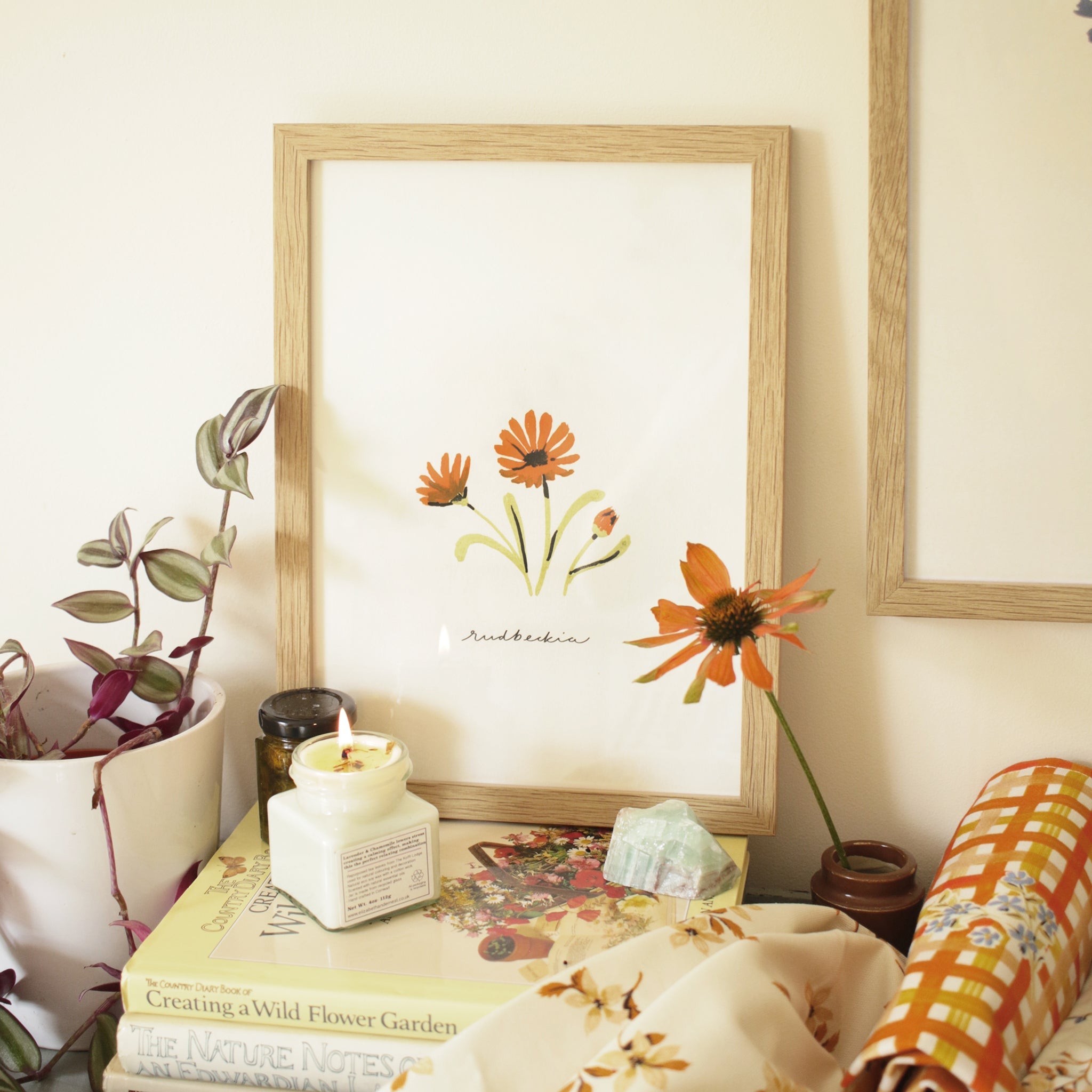 Orange Daisy Print - Rudbeckia