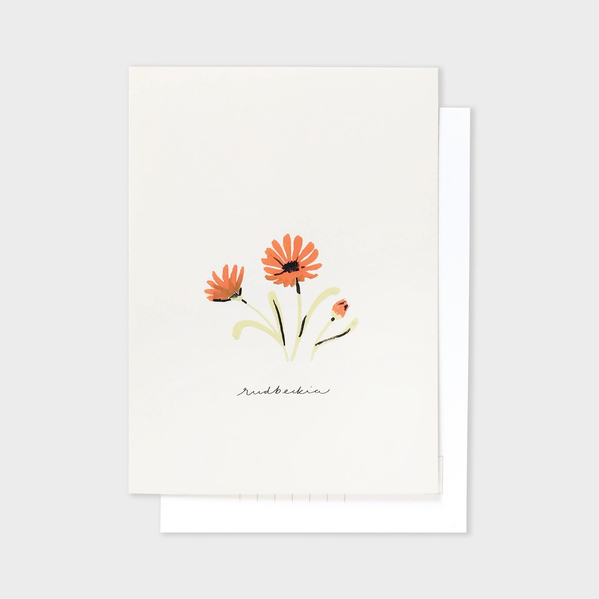 Orange Flower Postcard