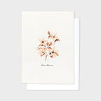 Pink Flower Postcard - Dianthus