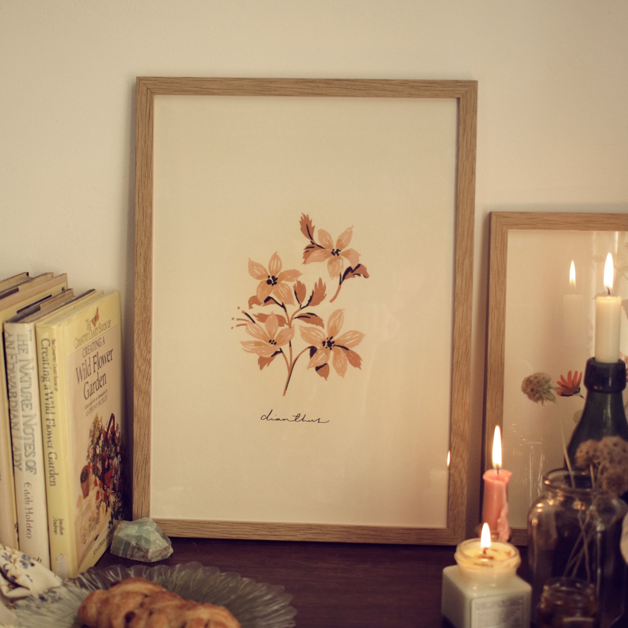 Vintage Flower Art Print - Dianthus